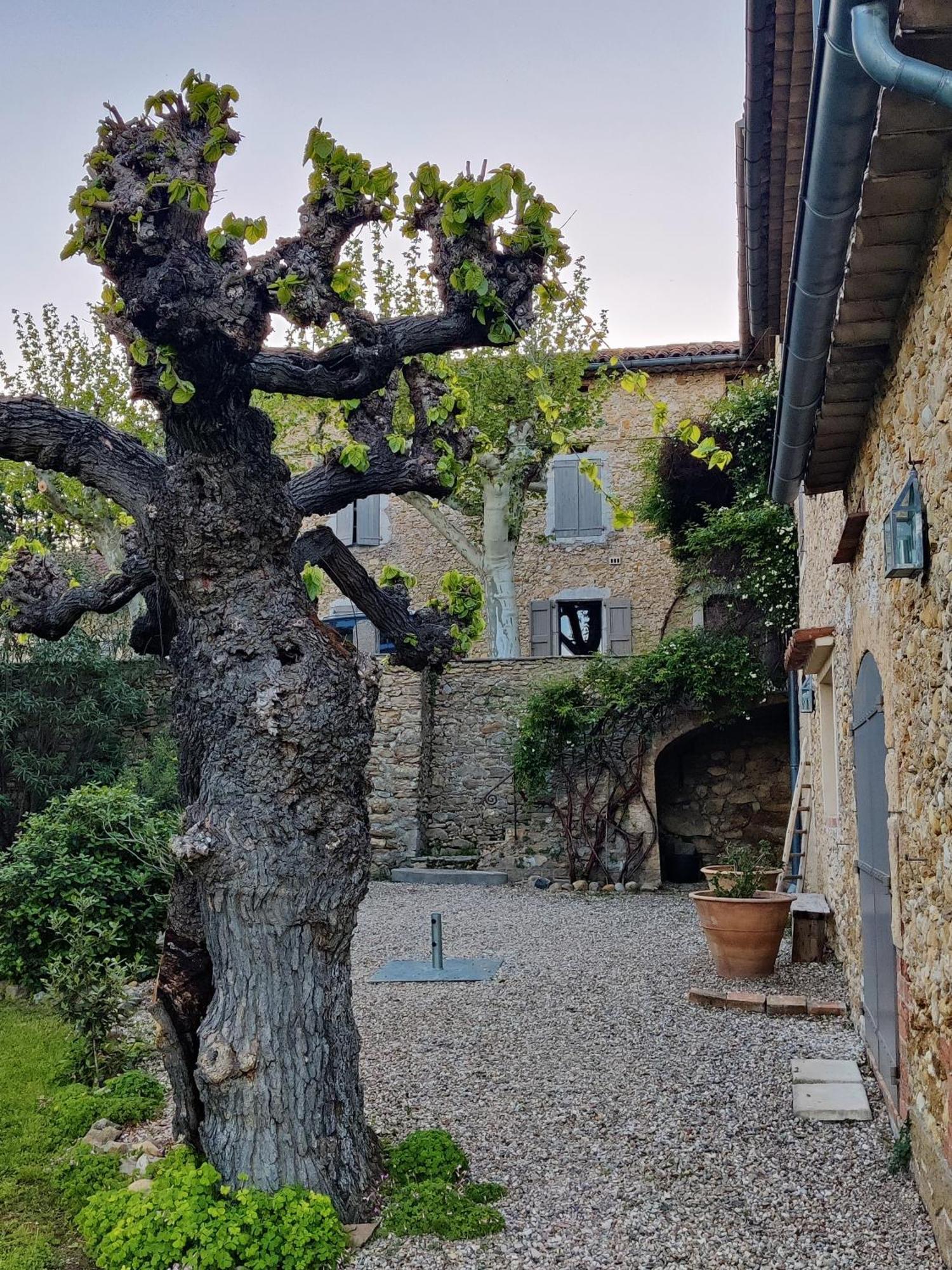 L'Etoffe, Charmante Chambre Dans Un Mas Cevenol Boisset-et-Gaujac Dış mekan fotoğraf